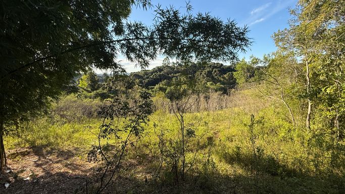 area p/plantio