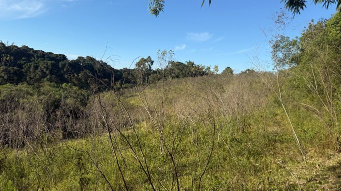 area p/plantio