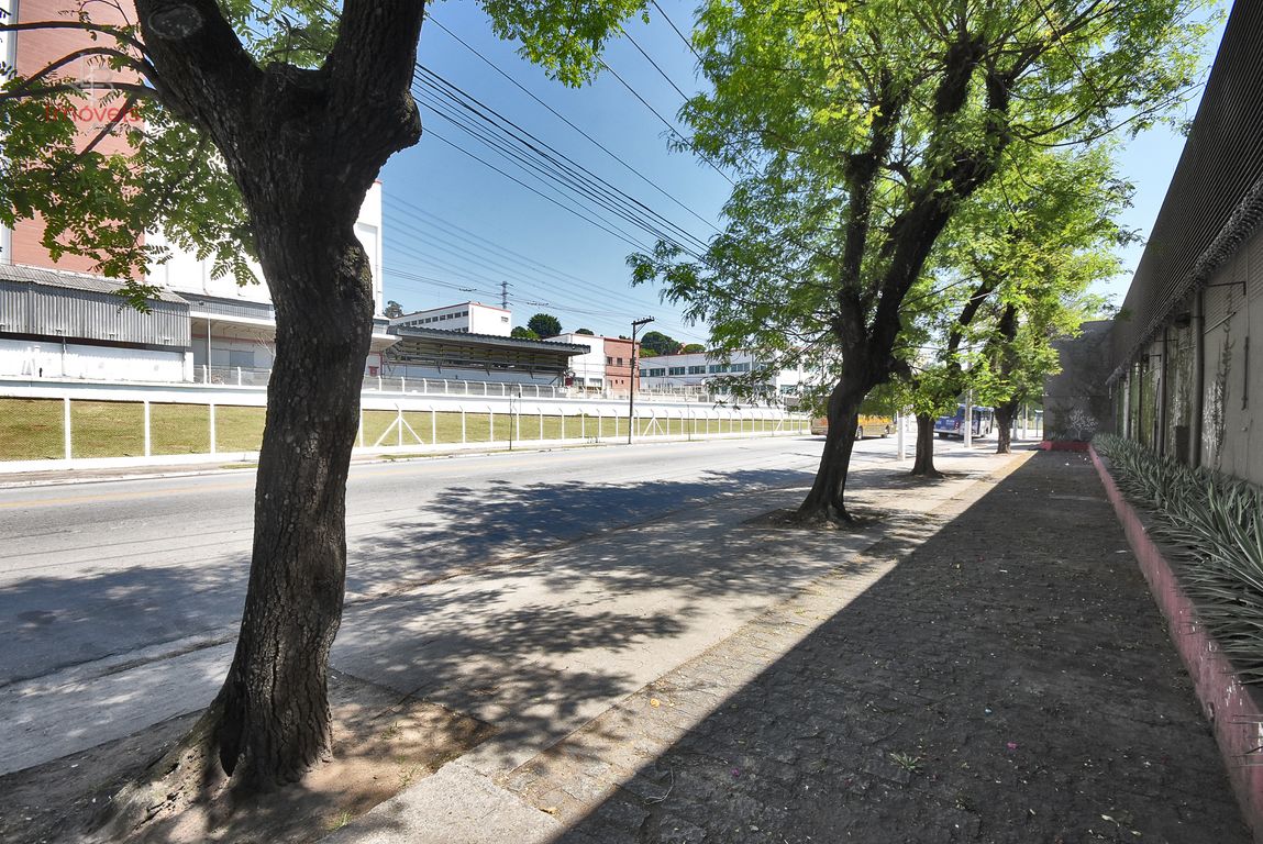 Depósito-Galpão - Foto 24