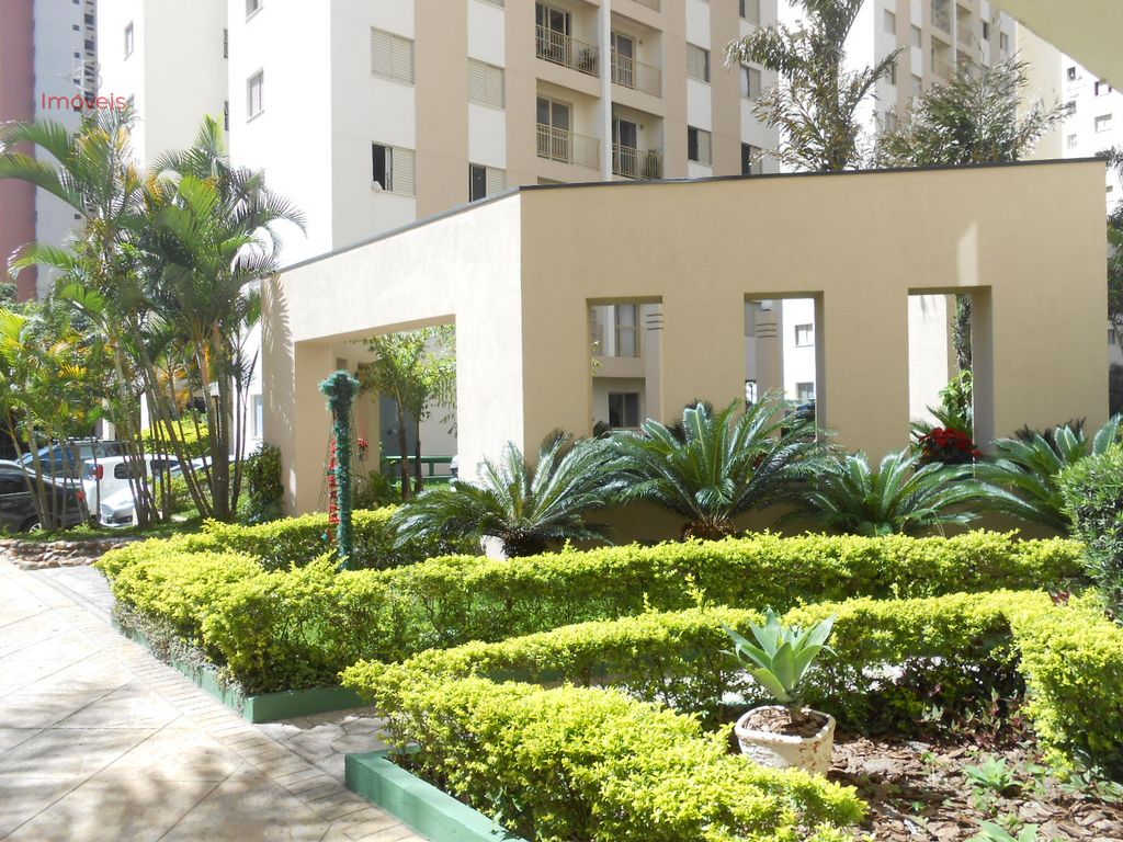 Apartamento, 3 quartos, 65 m² - Foto 10