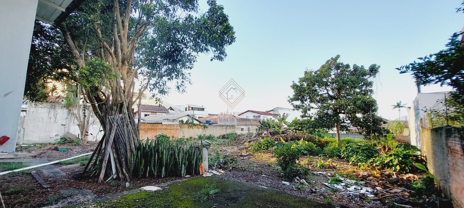 Terreno, 1559 m² - Foto 3