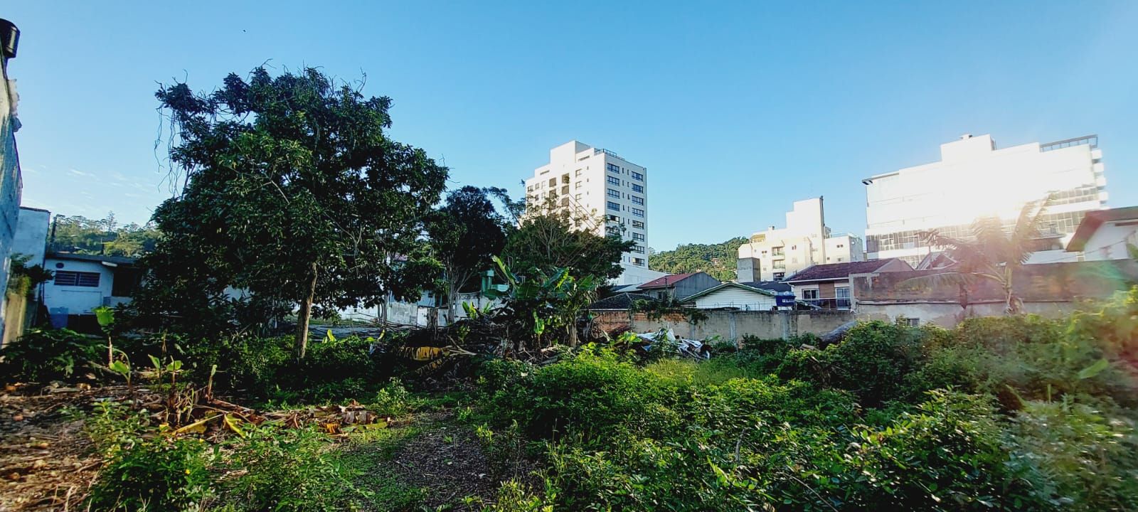 Terreno, 1559 m² - Foto 1