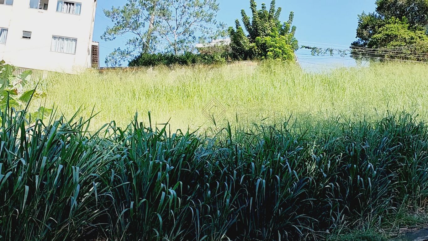 Terreno, 650 m² - Foto 10