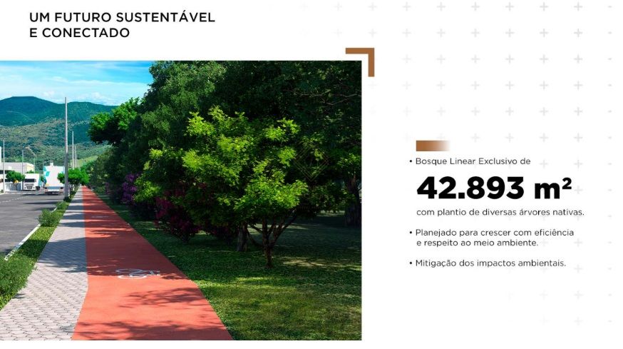 Loteamento e Condomínio, 1139 m² - Foto 10