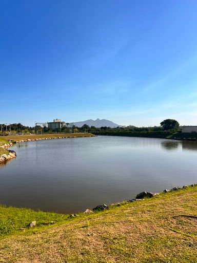 LAgo