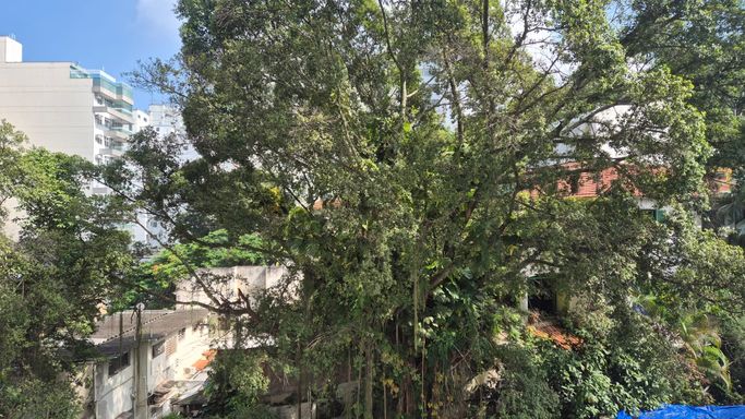 Vista do quarto 1
