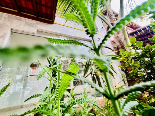 Casa Triplex à Venda com 5 Quartos no Granbery – R$ 449.000
📍 Rua Doutor José Murilo Neto, s/n – Granbery – Juiz de Fora/MG
Souza e Albano Serviços Imobiliários
📞 (32) 99829-7059 | CNPJ: 53.373.878/0001-39



#souzaealbanoservicosimobiliarios
#imobiliariasouzaealbano
#casaavendaemjuizdefora
#casatriplex
#granbery