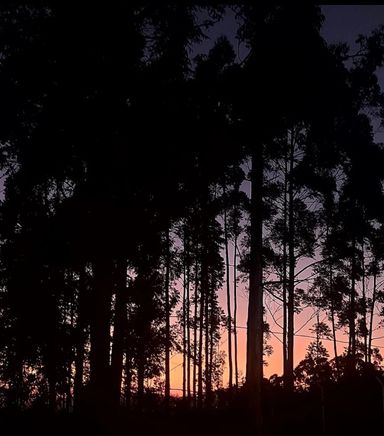 Casa à venda com 2 quartos no Borboleta – Juiz de Fora
📍 Neo Residencial – Bairro Borboleta – Juiz de Fora/MG
Souza e Albano Serviços Imobiliários
📞 (32) 99829-7059 | CNPJ: 53.373.878/0001-39