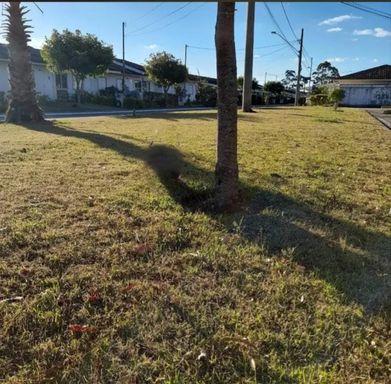 Casa à venda com 2 quartos no Borboleta – Juiz de Fora
📍 Neo Residencial – Bairro Borboleta – Juiz de Fora/MG
Souza e Albano Serviços Imobiliários
📞 (32) 99829-7059 | CNPJ: 53.373.878/0001-39