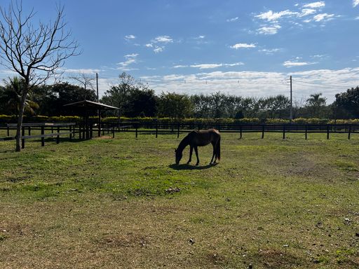 Piquete Haras à venda no Condomínio Santa Filomena, em Salto/SP