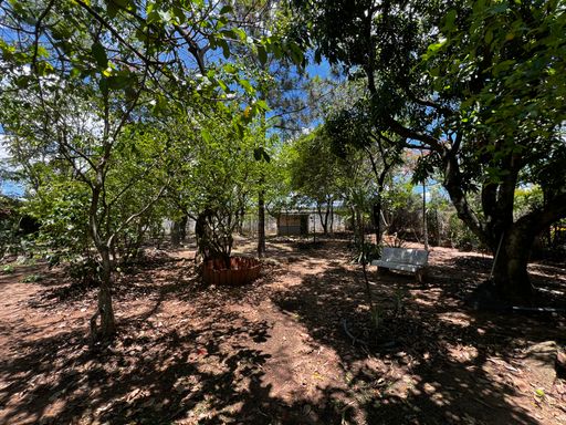Pomar da casa à venda no condomínio Monte Belo, em Salto-SP