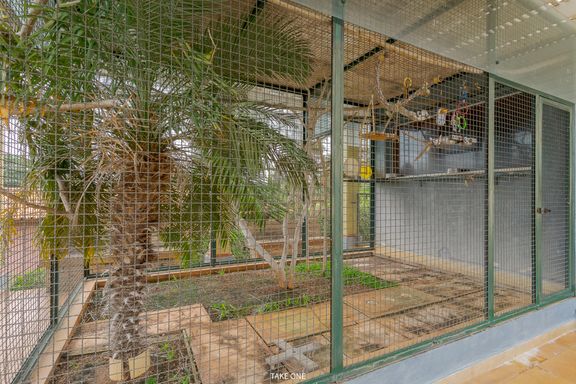 Viveiro da mansão à venda no Lagos de Shanadú, em Indaiatuba-SP