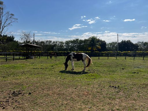 Piquete Haras à venda no Condomínio Santa Filomena, em Salto/SP