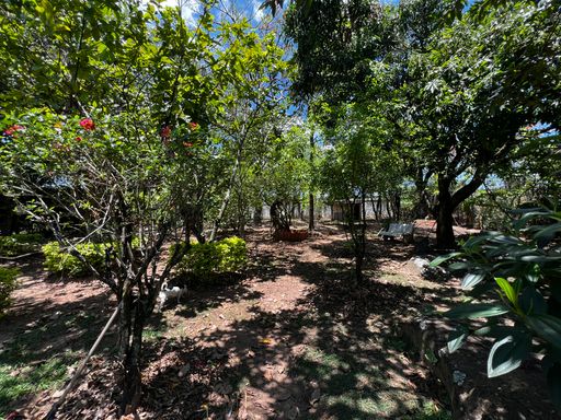 Pomar da casa à venda no condomínio Monte Belo, em Salto-SP