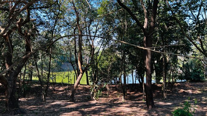 Bosque do Condomínio Lagos D'Icaraí, em Salto-SP