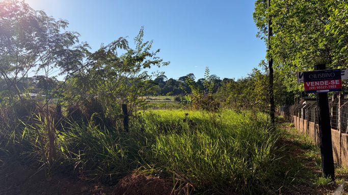 Dá total protagonismo à topografia e à vegetação densa do terreno. Concentrando-se no espaço verde. Mostra alguns arbustos mais altos espalhados pelo lote e o alinhamento de árvores ao fundo. A luz solar realça os tons de verde vivo do capim.