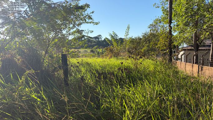 É possível observar melhor a extensão do muro vizinho com cercamento superior e a densidade da vegetação que cobre o solo do terreno. Ao fundo, árvores nativas e arbustos delimitam o horizonte sob o céu aberto.