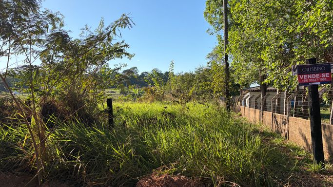 Terreno à venda atrás do Bairro Novo em Porto Velho, lote plano com vegetação disponível. Ótima oportunidade de investimento imobiliário na região.