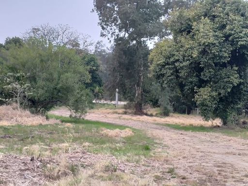 VISTA EM DIREÇÃO À SAÍDA PARA BR 116