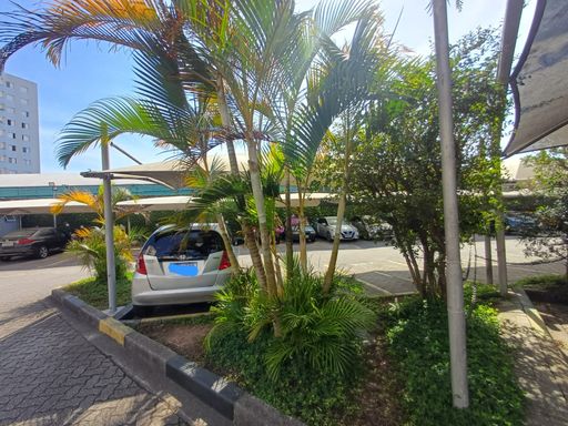 vaga de estacionamento com arborizada