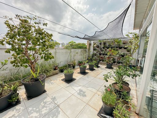 área da cobertura arborizada com vista livre privilegiada