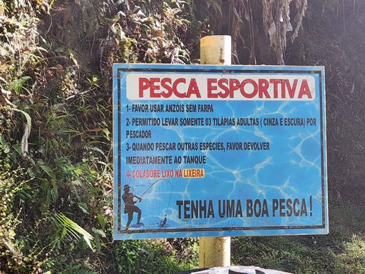 Pesca esportiva