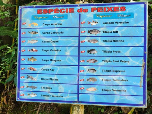 Descrição do tanque de pesca
