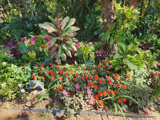 Amplo e belo jardim, ideal para momentos de tranquilidade ,lazer e contato com a natureza