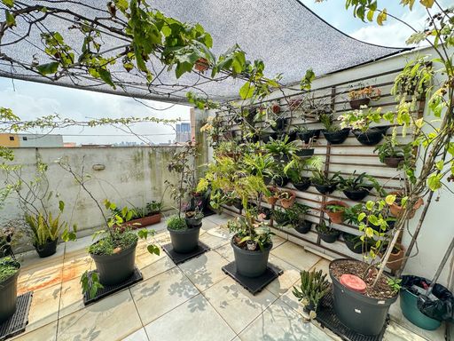 área da cobertura arborizada com vista livre privilegiada