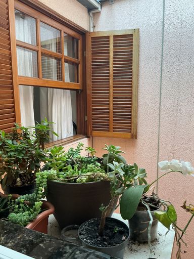 jardim de inverno
