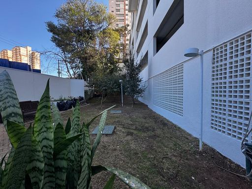 Espaço Pet e pomar