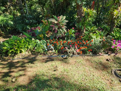 Jardim bem cuidado