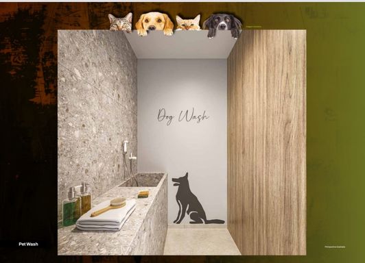 foto ilustrativa do pet wash