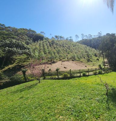 Bosque com vista previlegiada