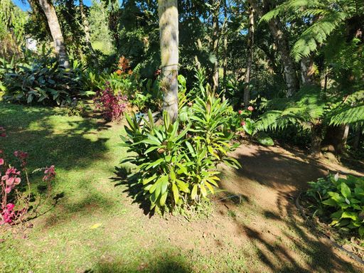 Jardim amplo e bem cuidado, proporcionando um ambiente agradável e acolhedor