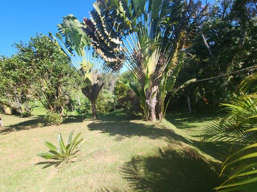 Belo jardim com paisagismo harmonioso, oferecendo charme e bem-estar ao imóvel