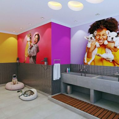Foto ilustrativa Pet Wash: Um espaço dedicado para o banho e a higiene do seu pet, dentro do condomínio.