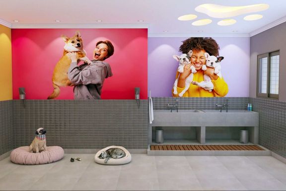 Foto ilustrativa Pet Wash: Um espaço dedicado para o banho e a higiene do seu pet, dentro do condomínio.
