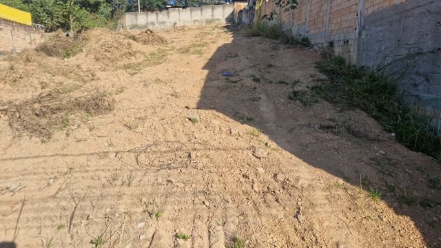 Imagem real e atual dos 4 lotes
