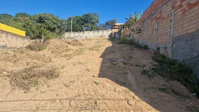 Imagem real e atual dos 4 lotes
