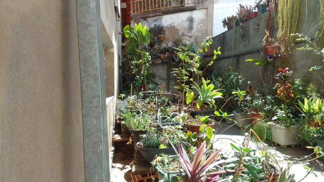 QUINTAL