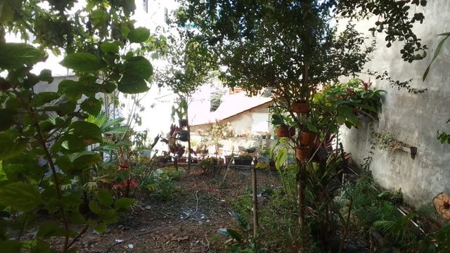 QUINTAL