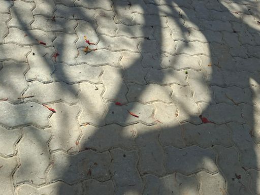 PISO DA RUA DO CONDOMINIO