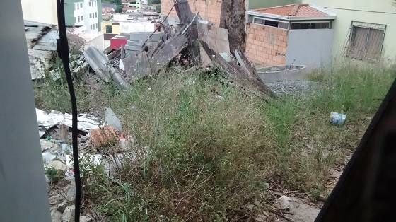 LOTE