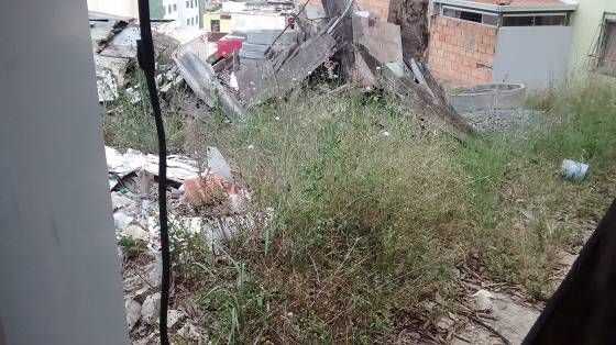 LOTE