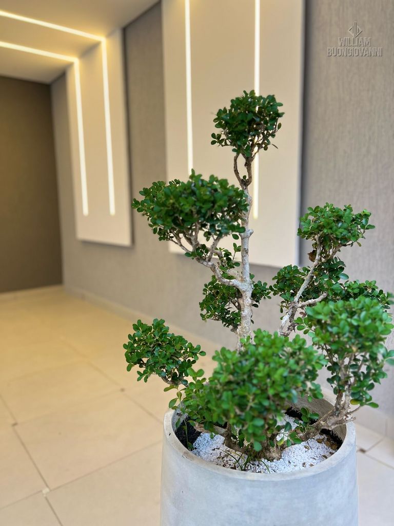 Casa de Condomínio, 2 quartos - Foto 21