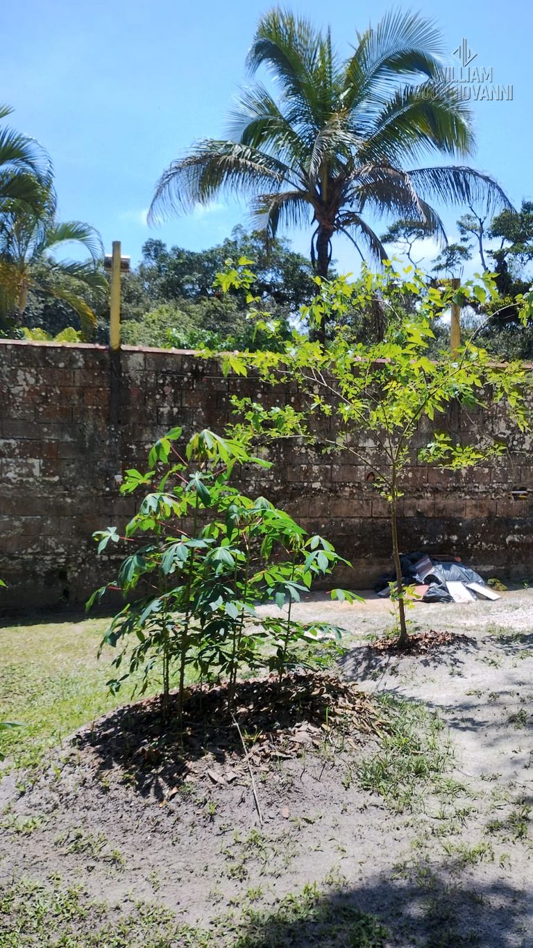 Sítio, 2 quartos, 1000 m² - Foto 3