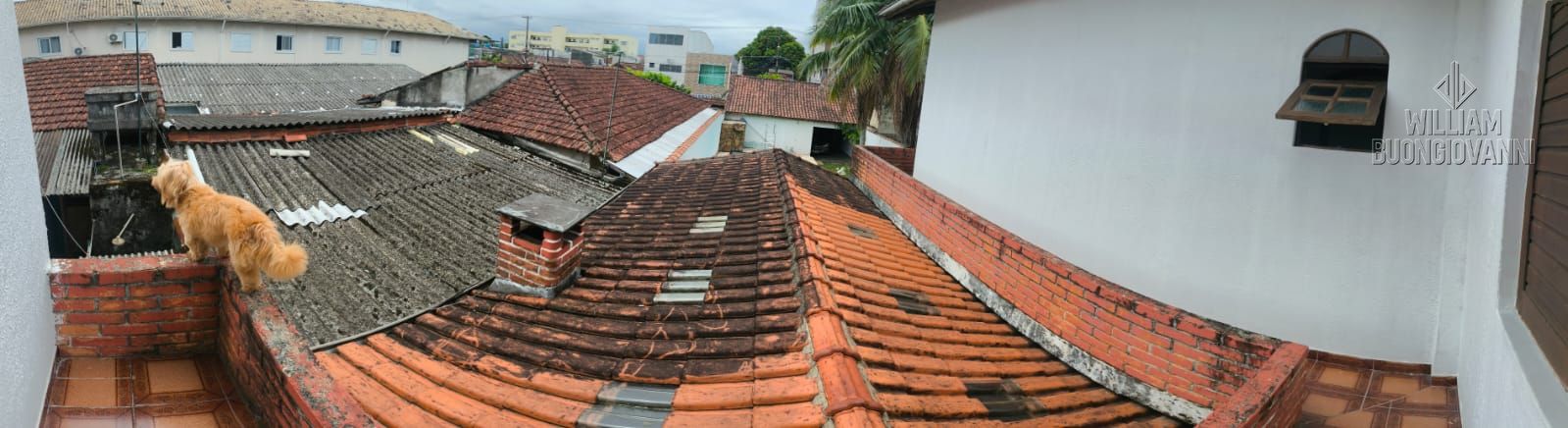 Casa, 4 quartos, 134 m² - Foto 23