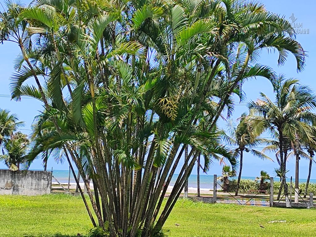 Apartamento, 2 quartos, 91 m² - Foto 6