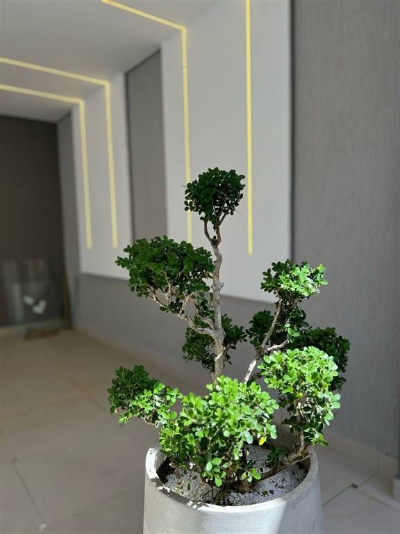 Casa, 2 quartos, 50 m² - Foto 15